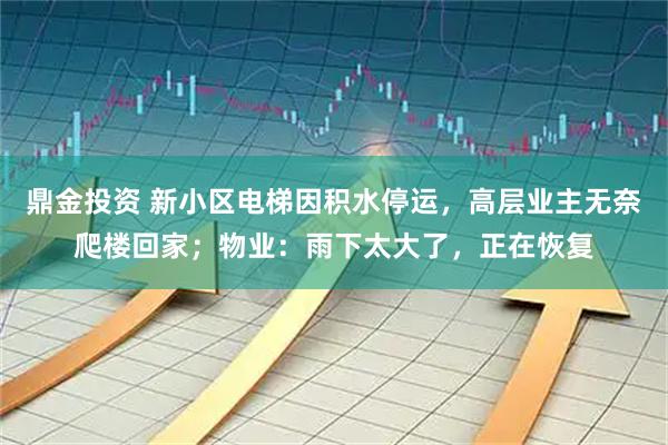 鼎金投资 新小区电梯因积水停运,高层业主无奈爬楼回家;物业:雨下太大了,正在恢复