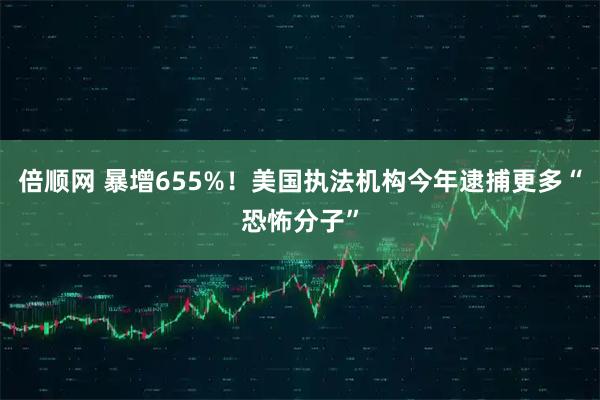 倍顺网 暴增655%！美国执法机构今年逮捕更多“恐怖分子”