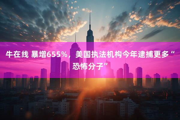 牛在线 暴增655%，美国执法机构今年逮捕更多“恐怖分子”