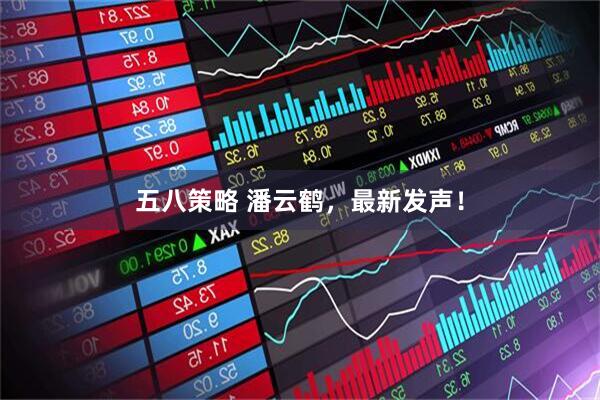 五八策略 潘云鹤，最新发声！