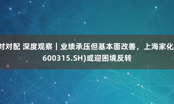 对对配 深度观察｜业绩承压但基本面改善，上海家化(600315.SH)或迎困境反转